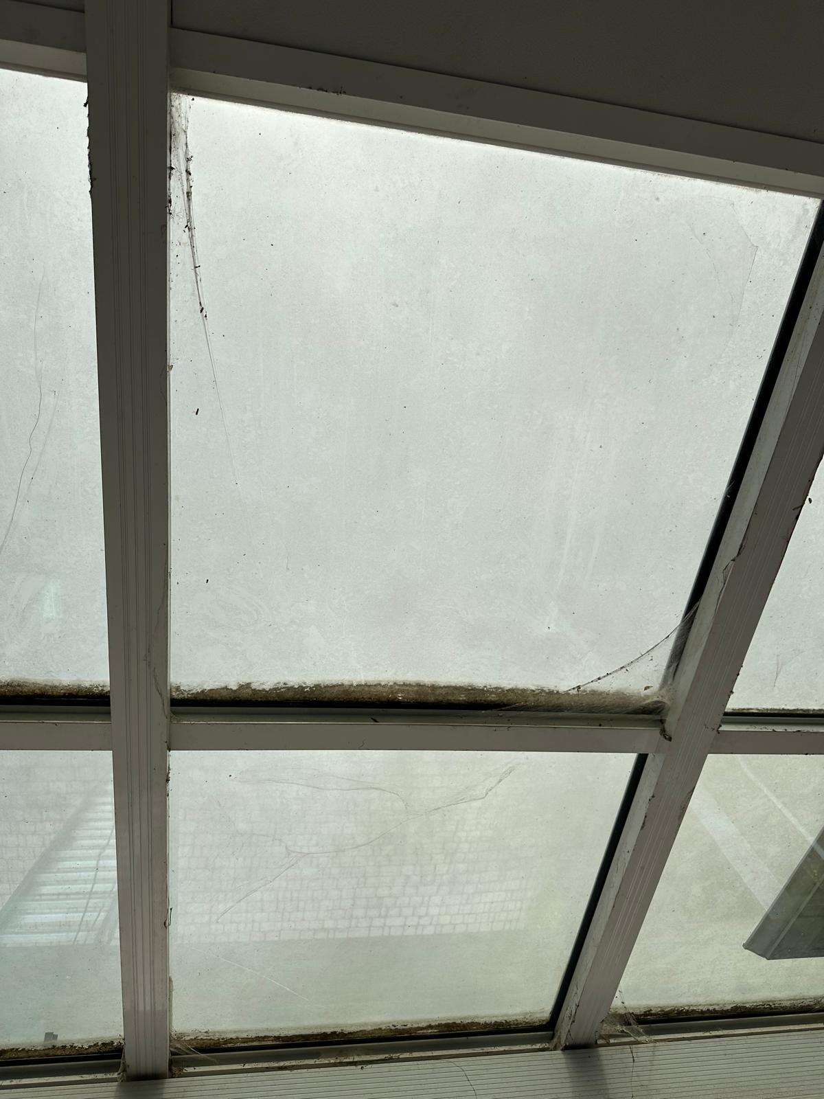 Window cleaning — before